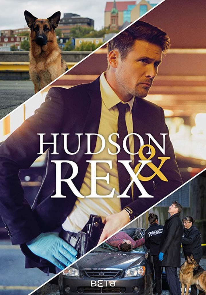 Hudson & Rex Season 2 watch full episodes streaming online